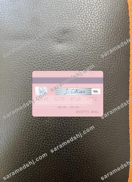 Algeria Calyon Algérie Bank visa card photolook back